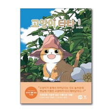 고양이 타타 1 / 영진com