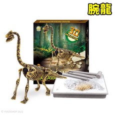 YOGOSHOP 3D恐龍化石考古挖掘玩具 拼裝恐龍模型, 1套