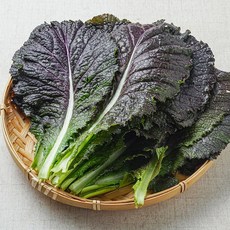 GAP인증 국내산 적겨자 쌈채소, 1kg, 1개