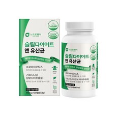 BG 유산균 프로바이오틱스 bg유산균 100억유산균 생유산균 바이오틱스 장건강유산균, 1, 54g