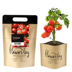 NEW 플라워백 - 방울토마토/화분키우기 꽃심기 씨앗심기 재배세트, 1개