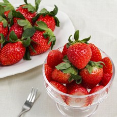 당일수확 논산 산지직송 설향딸기 350g 한입과(20구), 1개