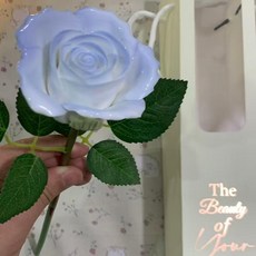 景德鎮精品陶瓷玫瑰花 永不凋零 母親節 花束 B6 燈帶和禮品袋, B2 燈帶和禮品袋