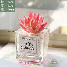 台灣熱賣ins風仿真多肉盆栽，仙人掌綠植客廳擺件，小盆栽裝飾品綠植假花桌面擺設，輕鬆打造清新居家風格, 蒼山遠+ins小方玻, 1個