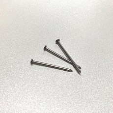초강력 쇠못 25mm 100개입