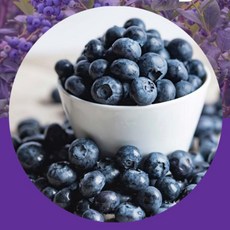 [로지프로] 칠레산 생 블루베리 x2팩 겨울과일, 14-16mm 2팩