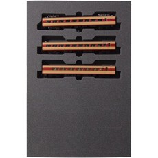 10492878 기관차 기차 철도 모형 열차 KATO N게이지 381계 100번대 ‘쿠로시오’ 3량 증결 세트 10-1869 모델 전차