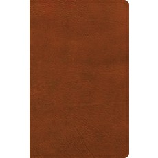 (영문도서) NASB Single-Column Personal Size Bible Burnt Sienna Leathertouch Imitation Leather, Holman Bibles, English, 9798384502043