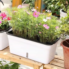 Itsok 자동급수 화분 사각 수경재배기