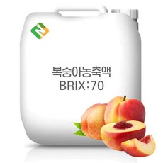 복숭아농축액 70Brix 200g 샘플, 1개