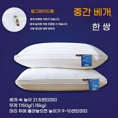 수면 여름용 편안한 샤틴면솜 통세척 가능 베개솜 일반솜통 쿠션형 두께3cm 60x180cm, C.항균/진드기방지