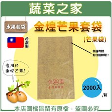 蔬菜之家 金煌芒果套袋(芒果袋), 1個