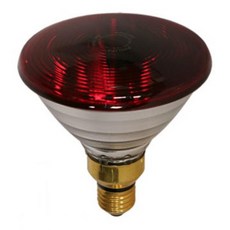 필립스 적외선램프 조사기 전구교체 150W 한의원 가정용 의료용