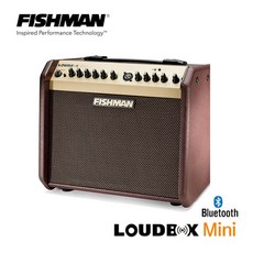 Fishman Loudbox Mini BT / 블루투스 어쿠스틱앰프, Brown, *