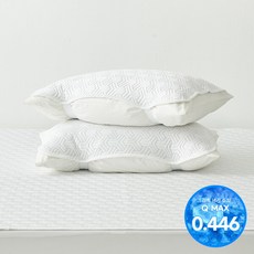 [애끌리아] 플라이토 HR 3중직 밴딩 냉감 베개덮개 2장(50X70), 사이즈:플라이토