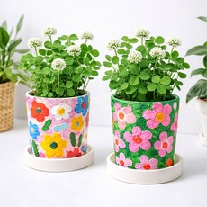 드로잉화분 화이트클로버 키우기 미술키트