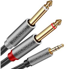 스마트폰 컴퓨터 CD 플레이어 스피커 및 DS-NY 시스템 TS 스테레오 듀얼 Y-케이블 6.5mm)의 6.35mm 1/8인치 위한 TRS 1/4인치 DIGITNOW 모노, 6.6ft
