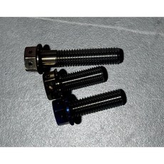 POSH 鈦合金螺絲 M10系列 P1.25 內外六角, 1個, 原色,M10X10mm