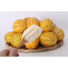 동명 겨울참외 경북 성주 꿀 참외 초고당도 가정용, 1kg 랜덤과, 1세트