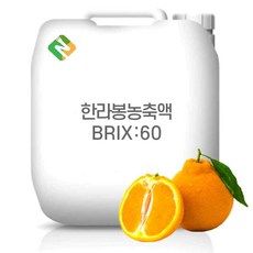 한라봉농축액 60Brix 200g 샘플, 1, 1개