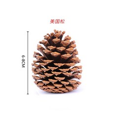 美國松小號-銀色 乾燥花材, 美國松6-8CM