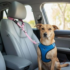 체사 반려동물 차량용 안전 스트랩 리드줄 SD-260311, 블랙