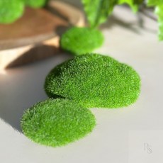 썸데이몰 가짜 이끼 돌 세트 식물 장식 소품