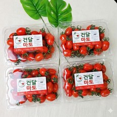 건달마토 다이어트 스테비아 방울토마토, 1개, 1.5kg