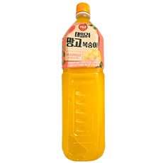 해태 htb 과일촌 데일리 망고 복숭아 주스, 9개, 1.5L