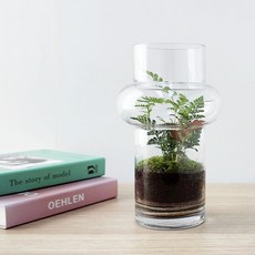 잎새몰 이끼 테라리움 만들기 원예 키트 (사은품: 핀셋 20~30cm), 럼프25 키트 + 직선핀셋 30cm, 1개