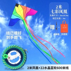 초대형 연 날리기 세트 가오리연 나비 제트기 한강, 2m봉황 + 휠(600m)