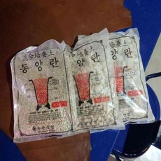 녕쭈 동양란 난석 화분관리, 소립