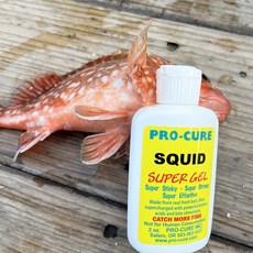 프로큐어 집어제 유인제 UV 바르는타입 낚시 미끼 에기 쭈꾸미 갑오징어, 1개