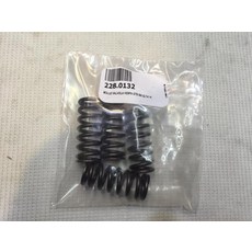 Vespa GTS 300 閥門彈簧 4入, 1個