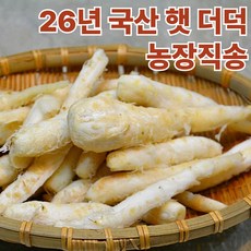 [재구매99%] 국산 더덕 횡성더덕 하루20박스만, 1박스, 300g 손질깐더덕