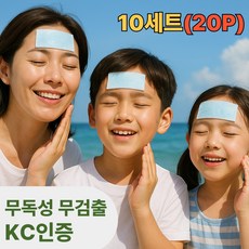 알래스카 아이스 쿨링패치 붙이는 안전한 쿨다운 쿨패치, 20개