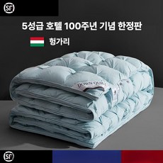 구스다운이불 이불솜 토퍼 겨울 5성급 호텔 헝가리 퀼트, D. 업그레이드 트위스트 블루