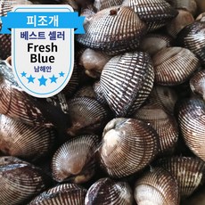 남해안 피조개 당일조업 신선 피꼬막 대용량 식자재, 1박스, 5kg