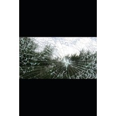 (英文圖書)I Loved Him Anyway: A Journey of Healing and Survival 平裝版, Independently Published, 英文