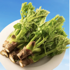 [자연산올해첫수확] 쌉싸름하면서 향긋한 원기회복보약 참두릅, 1개, 140g