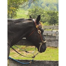 Western Saddle Notebook large Size 8.5 x 11 Ruled 150 Pages Paperback, Createspace Independent Publishing Platform
