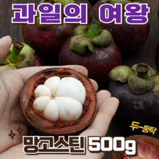 망고스틴 열대과일 과일의여왕 달콤한, 1박스, 망고스틴 500g
