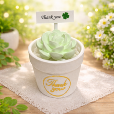 다육이화분 석고방향제 호두마루샵 새해신년단체선물 돌잔치웨딩답례품 스승의날선물 감사퇴사개업선물 석고방향제/오퓨저, 2.헤스페리데스
