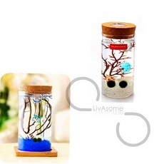 마리모 키우기 LED 유리병 사무실식물 조명어항