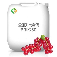 오미자농축액 50Brix 200g 샘플, 1개