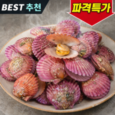 [가리비채취만30년째] 초특가할인 국산 홍가리비 가리비, 1박스, 1kg