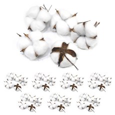 목화꽃 드라이플라워 목화꽃 조화 부자재 40p