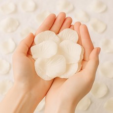 솔레르 웨딩촬영 플라워샤워 꽃잎 1000장, 1개, 아이보리