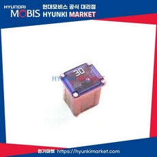 퓨즈슬로우 블로우 30A (1879001129), 1개