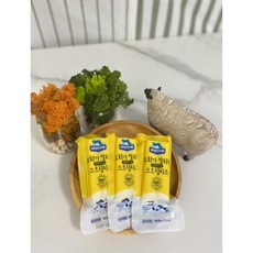 바보아빠 소화가 잘되는 락토프리 스트링 치즈 2개묶음, 50g, 2개